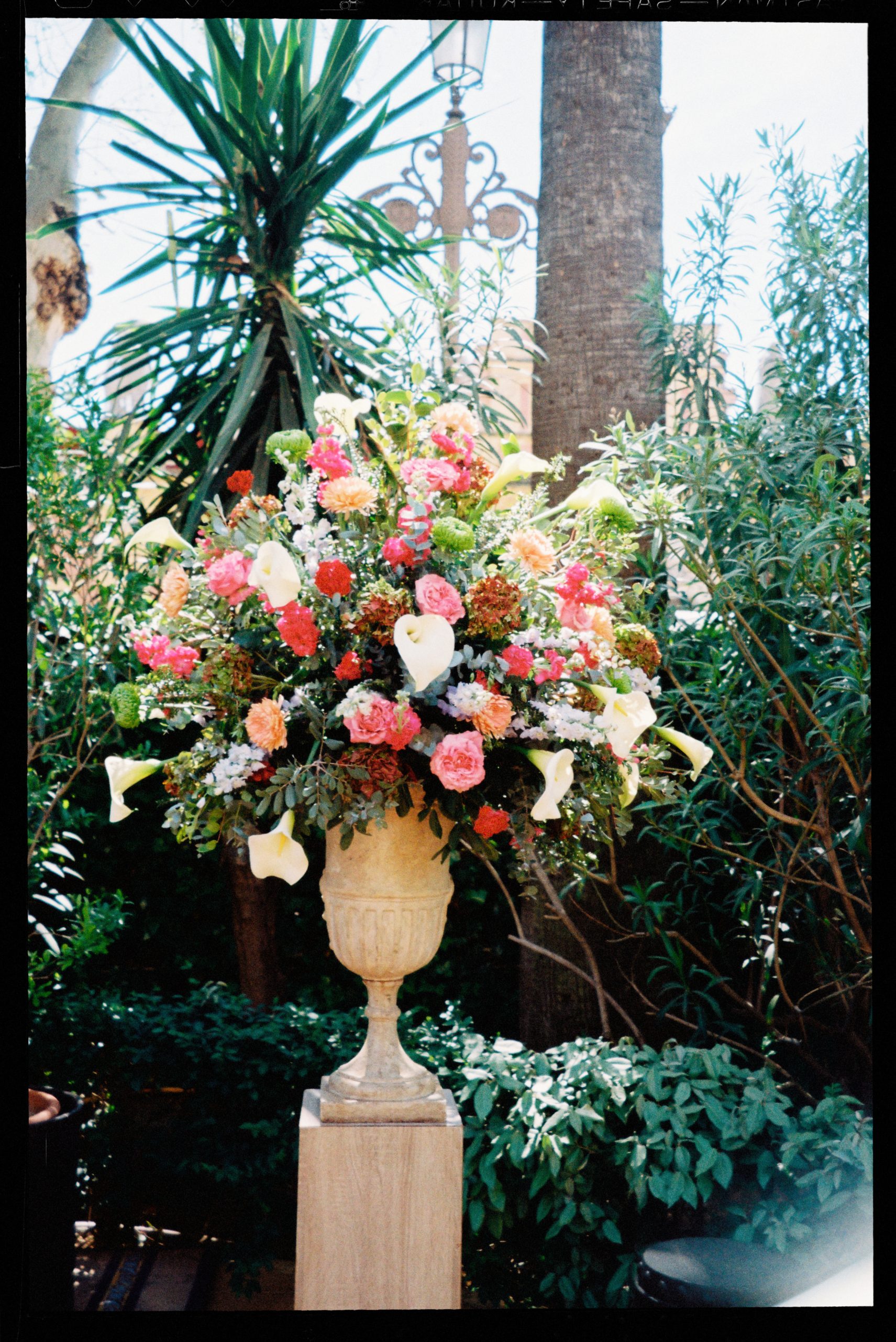 Film wedding photography at Hotel Alfonso XIII Seville